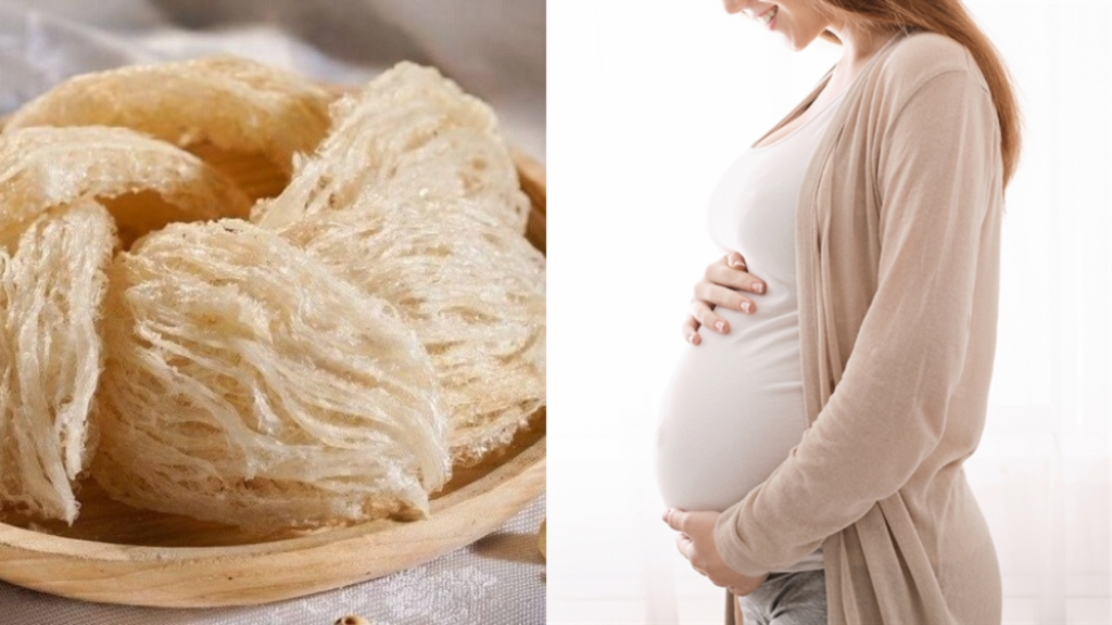 Yến sào và thai nhi