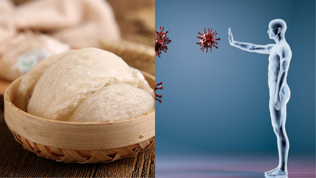 Yến sào hỗ trợ điều trị bệnh gì?