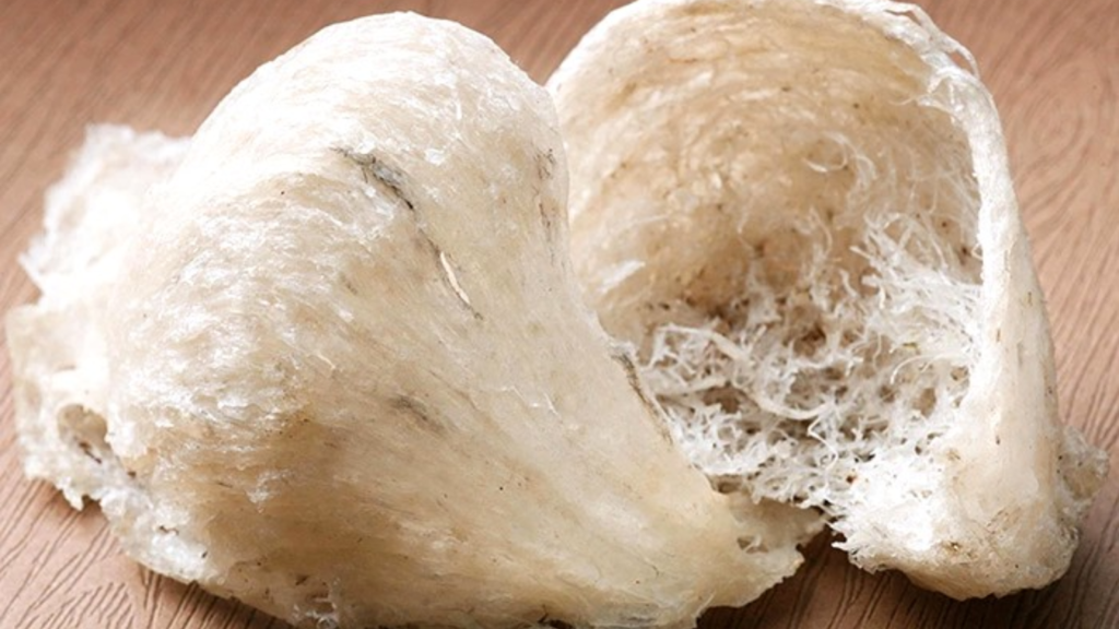 Yến sào hỗ trợ điều trị bệnh gì?