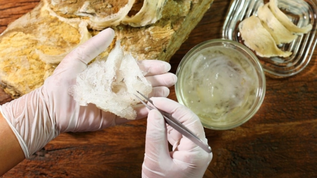 Cách làm sạch tổ yến