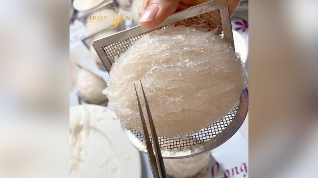 Chế biến yến tinh chế