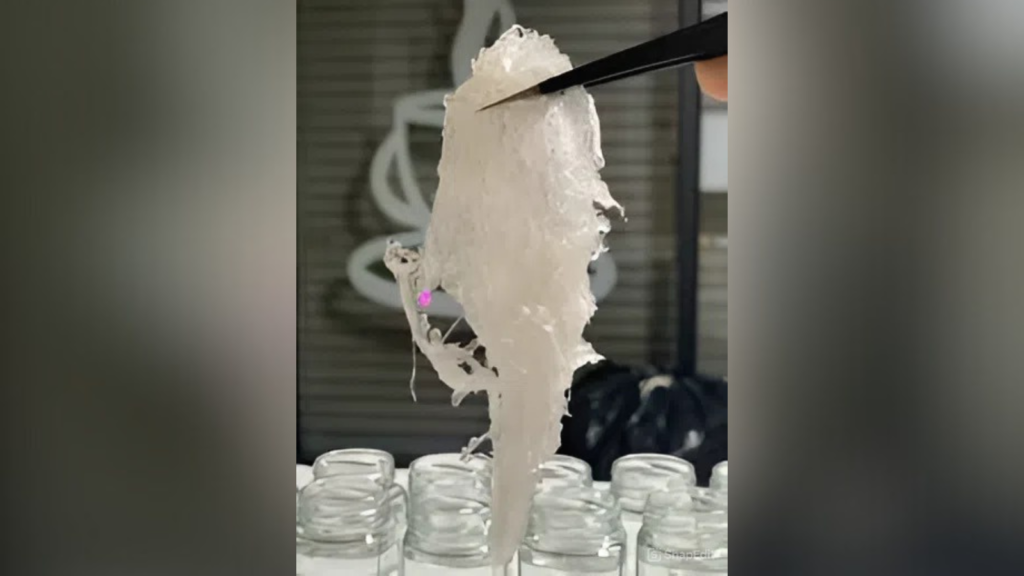 Yến tươi đã làm sạch