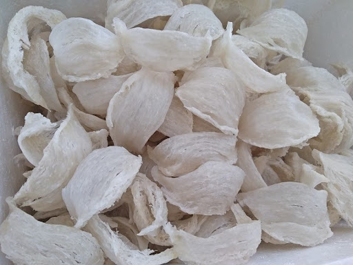 yến tổ nguyên chất