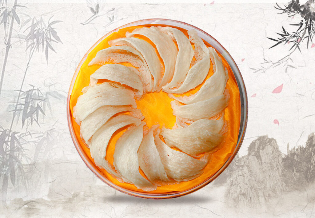 bảo quản tổ yến rút lông khô
