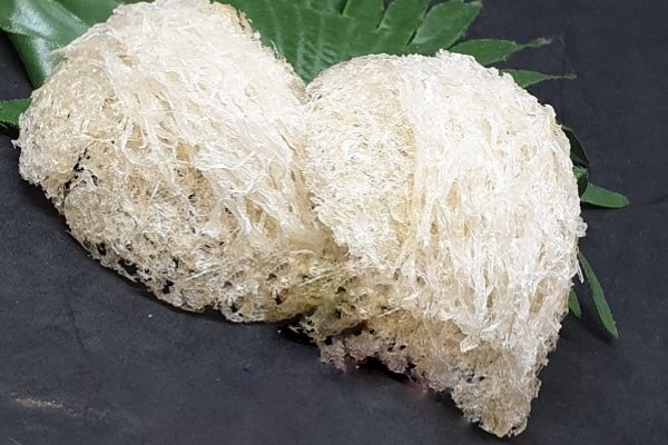 Yến sào cao cấp