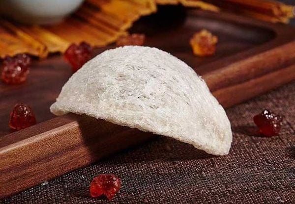 yến sào làm quà biếu chất lượng