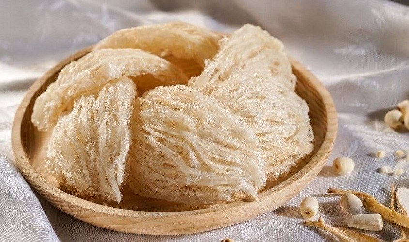 tư vấn mở thương hiệu yến
