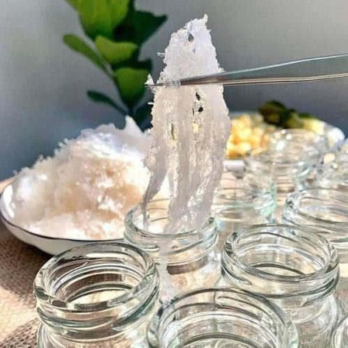 1 tổ yến chưng được mấy hũ