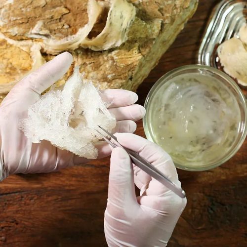yến sào cho hệ hô hấp