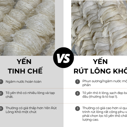 Phân biệt yến tinh chế với yến rút lông khô
