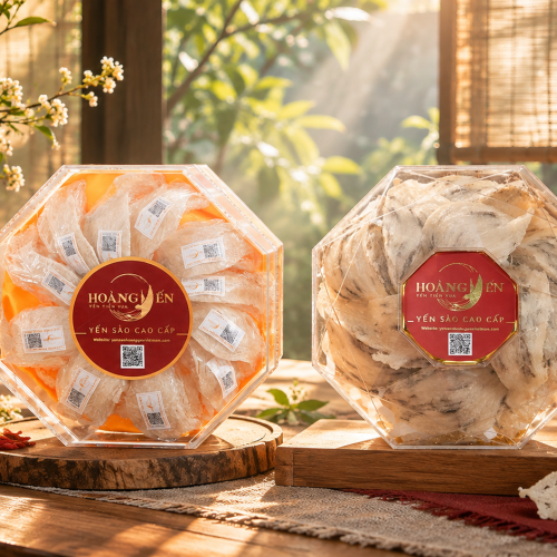 Sunlit Hoàng Yến Bird’s Nest Showcase